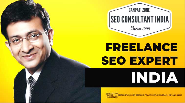 Freelance SEO Expert India