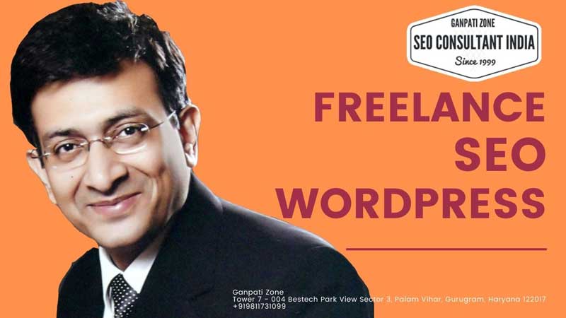 freelance seo wordpress