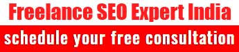 Hire Freelance SEO Expert India